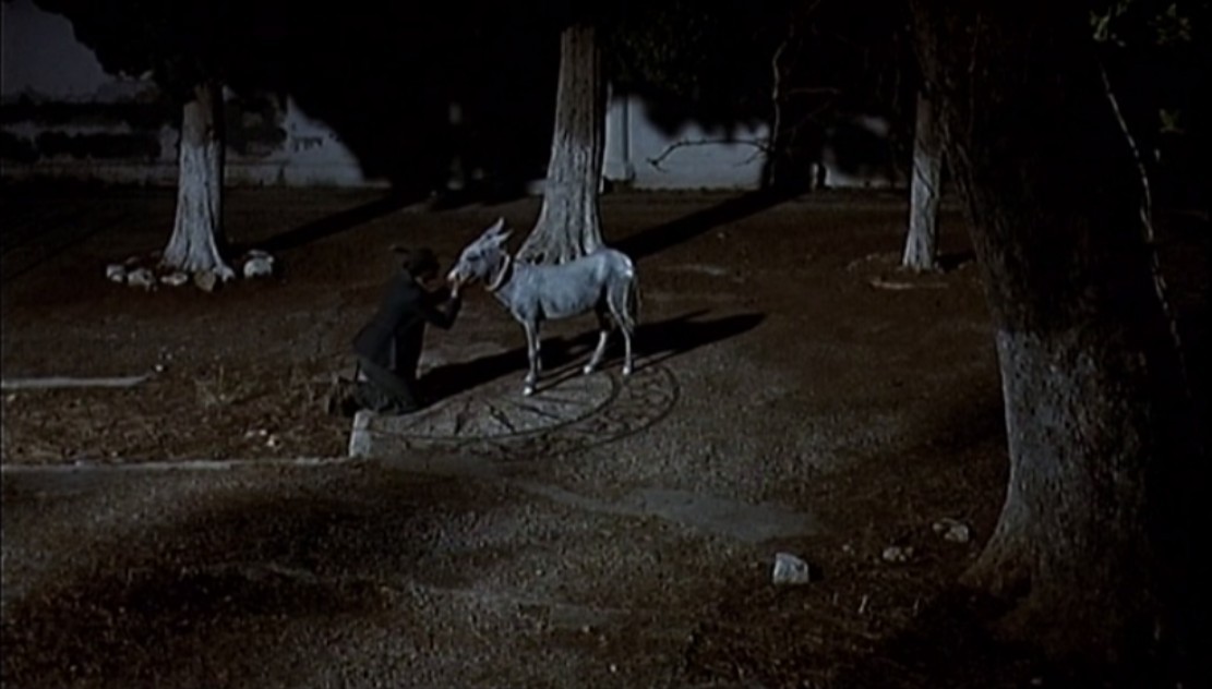 地中海剧照的剧照