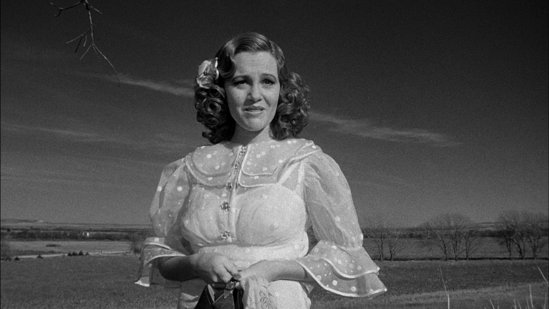 纸月亮剧照的剧照