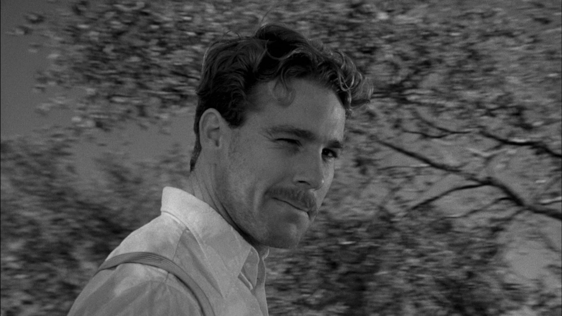 纸月亮剧照的剧照