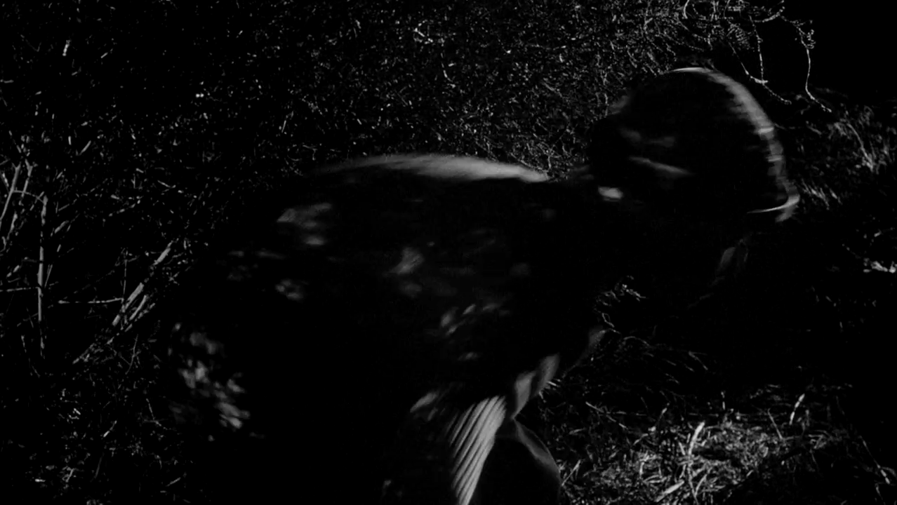 纸月亮剧照的剧照