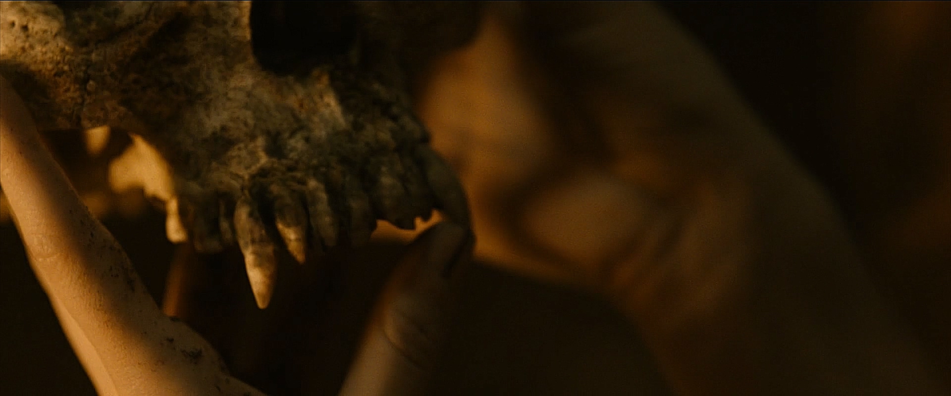 野生狼性剧照的剧照