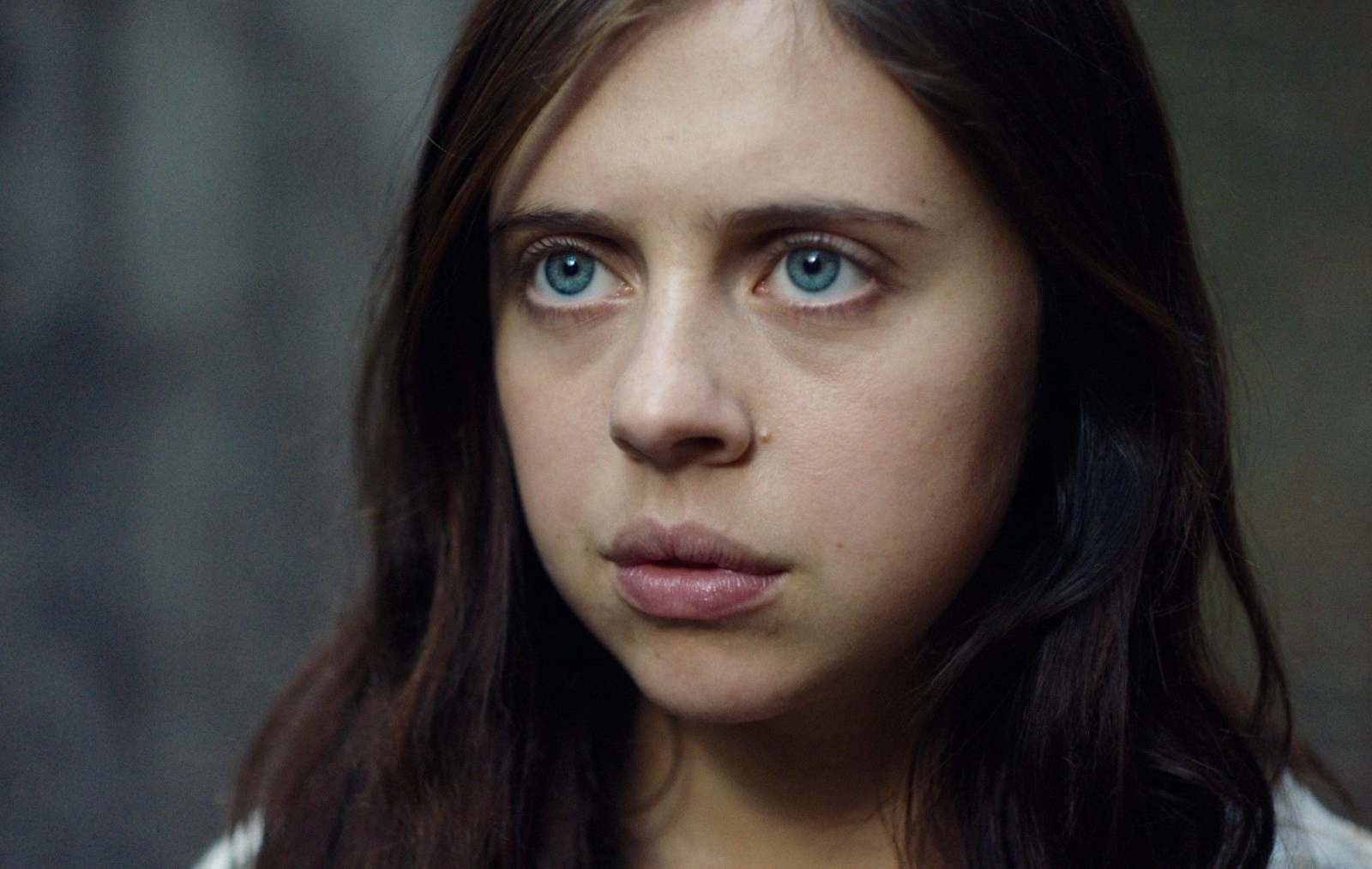 野生狼性剧照的剧照