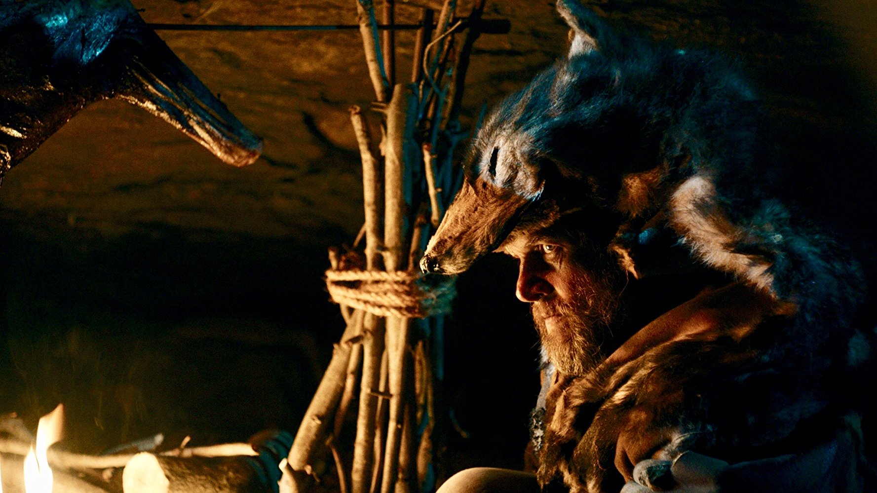 野生狼性剧照的剧照