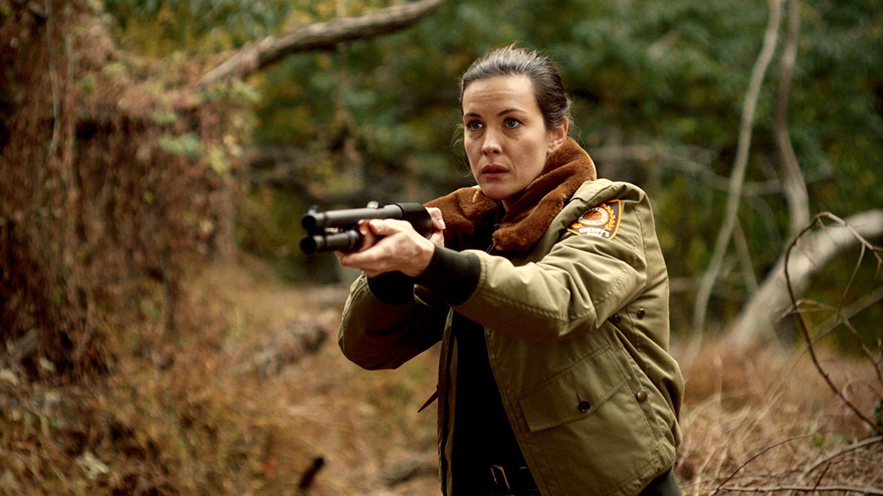 野生狼性剧照的剧照