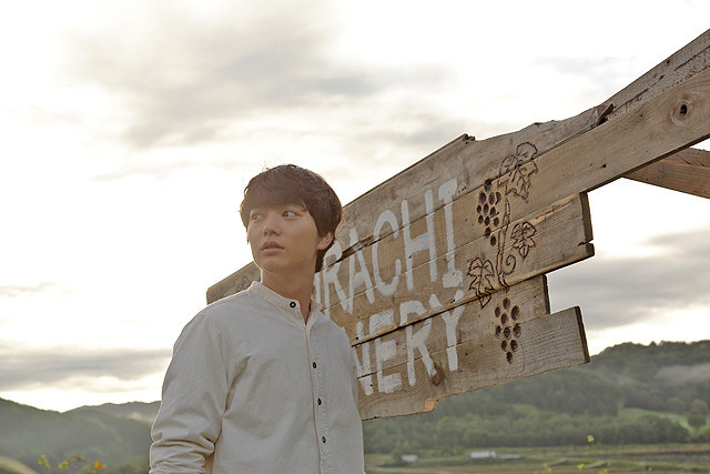 葡萄的眼泪剧照的剧照