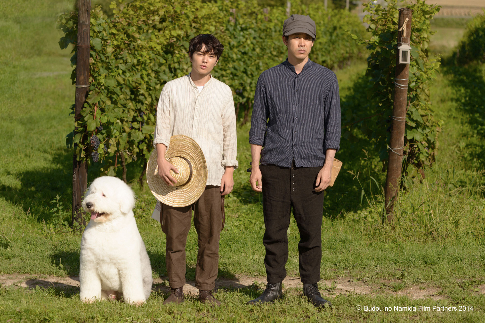 葡萄的眼泪剧照的剧照