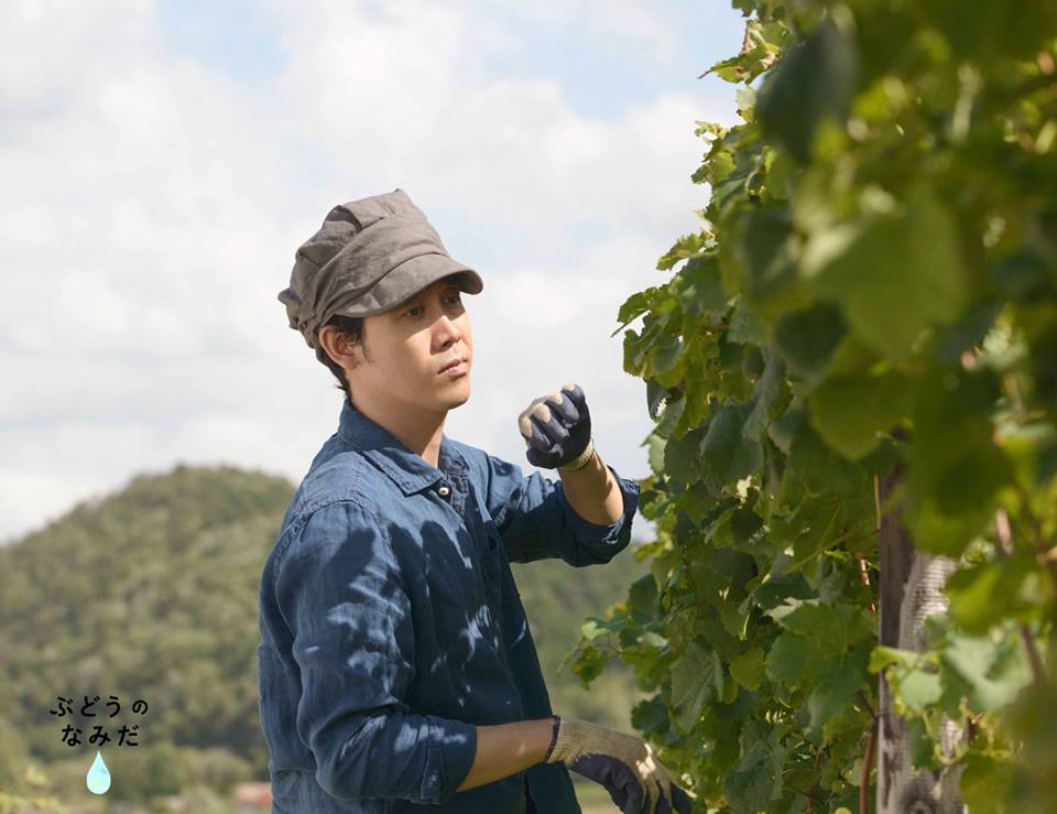 葡萄的眼泪剧照的剧照