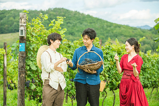 葡萄的眼泪剧照的剧照