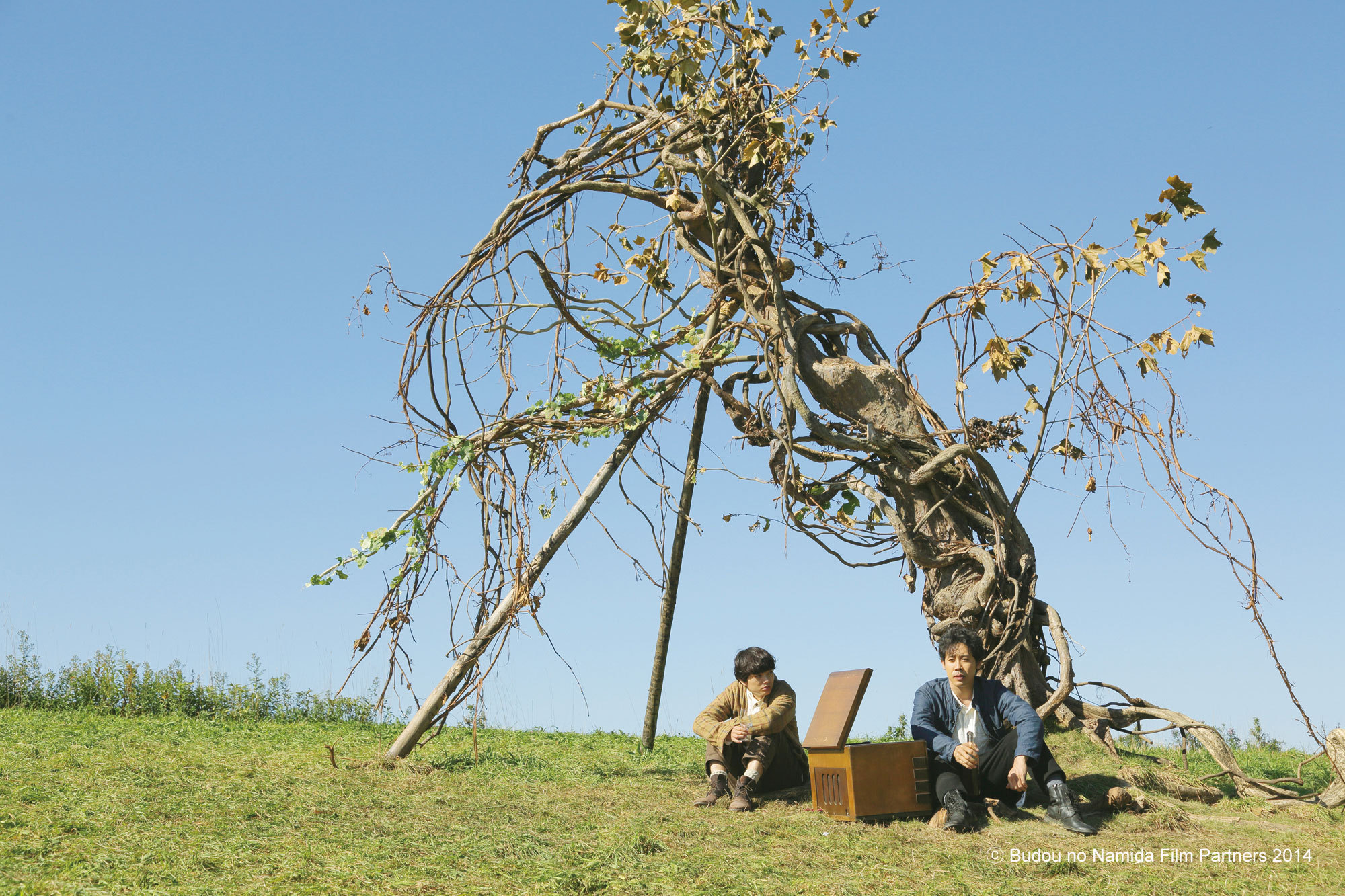 葡萄的眼泪剧照的剧照