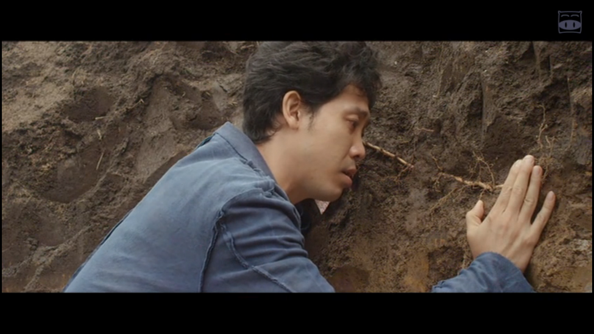 葡萄的眼泪剧照的剧照