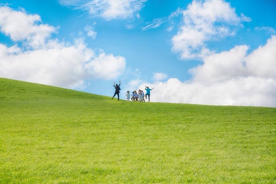 葡萄的眼泪剧照的剧照