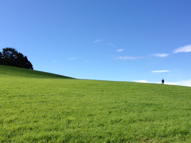 葡萄的眼泪剧照的剧照