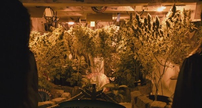 猪头逛大街2剧照的剧照