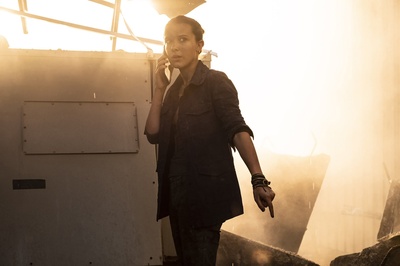 哥斯拉大战金刚剧照的剧照