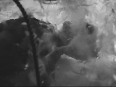 怪人剧照的剧照