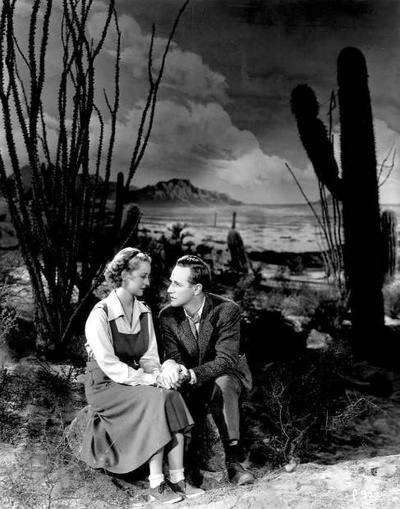 化石森林剧照的剧照