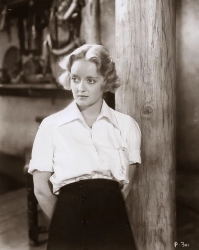 化石森林剧照的剧照