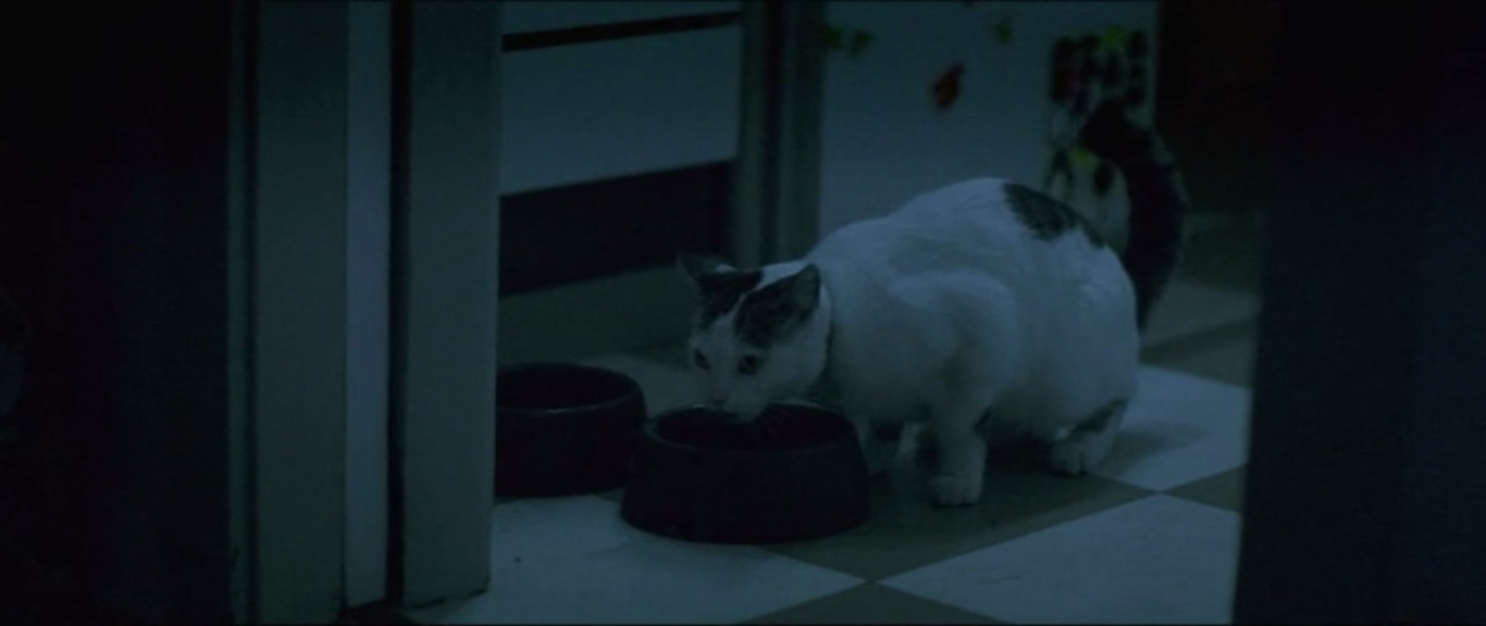 处子之山剧照的剧照