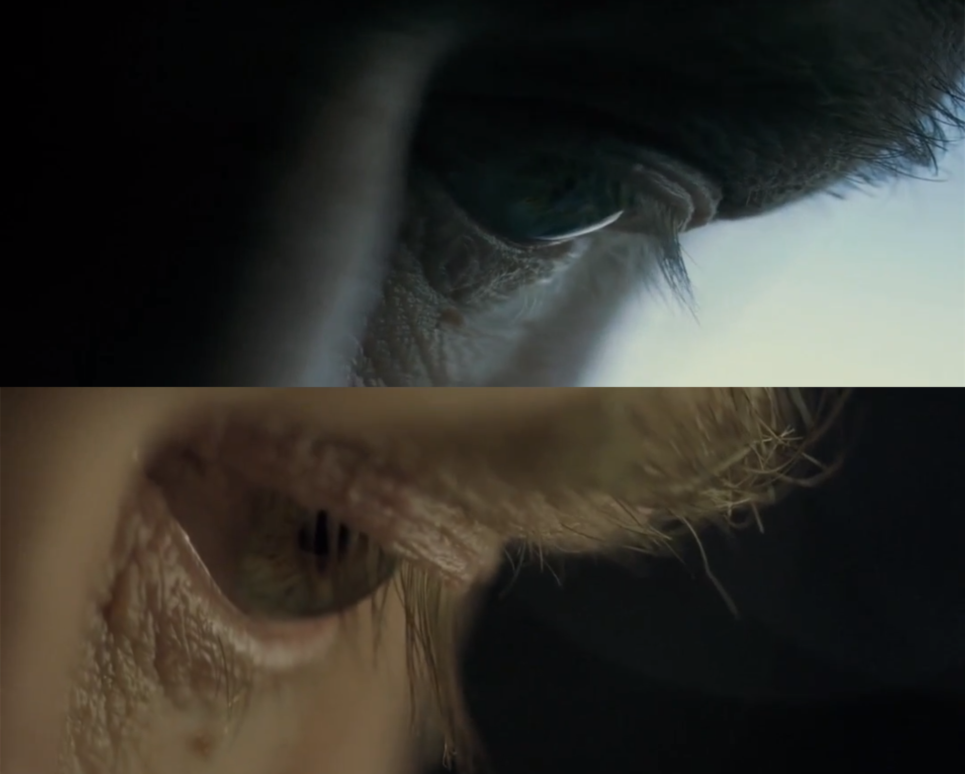 处子之山剧照的剧照