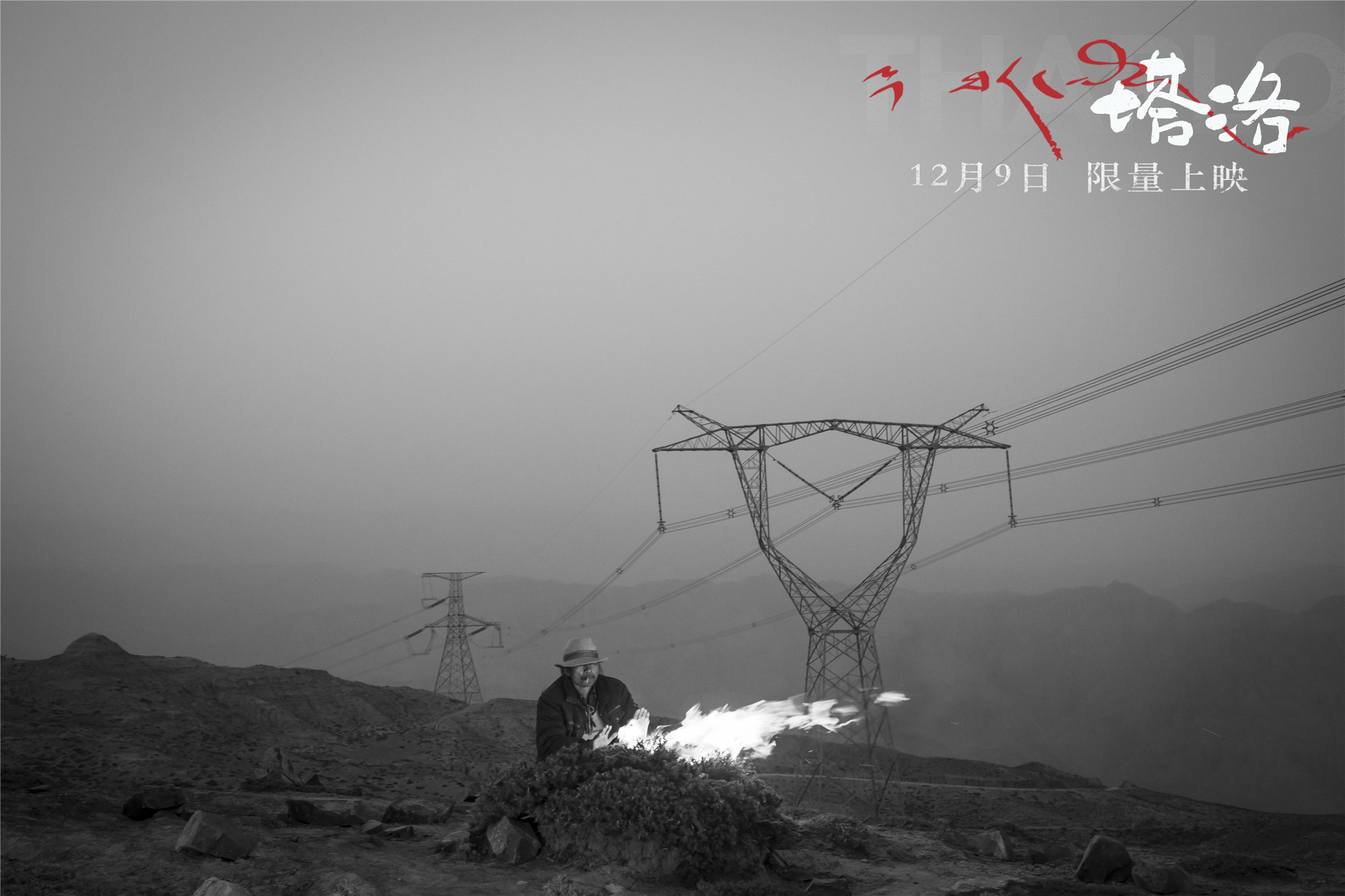 塔洛剧照的剧照