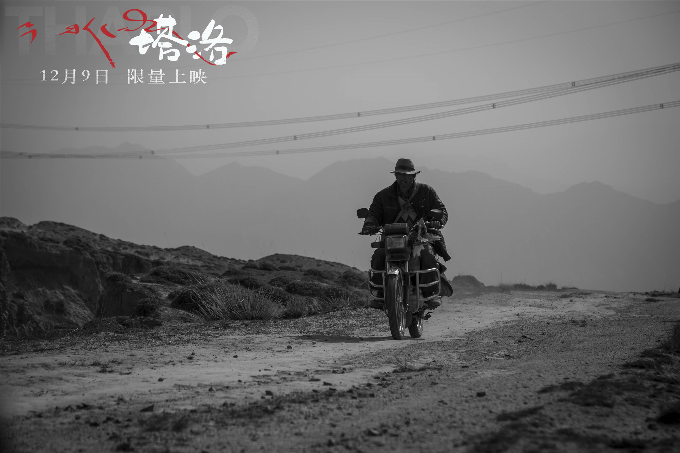 塔洛剧照的剧照