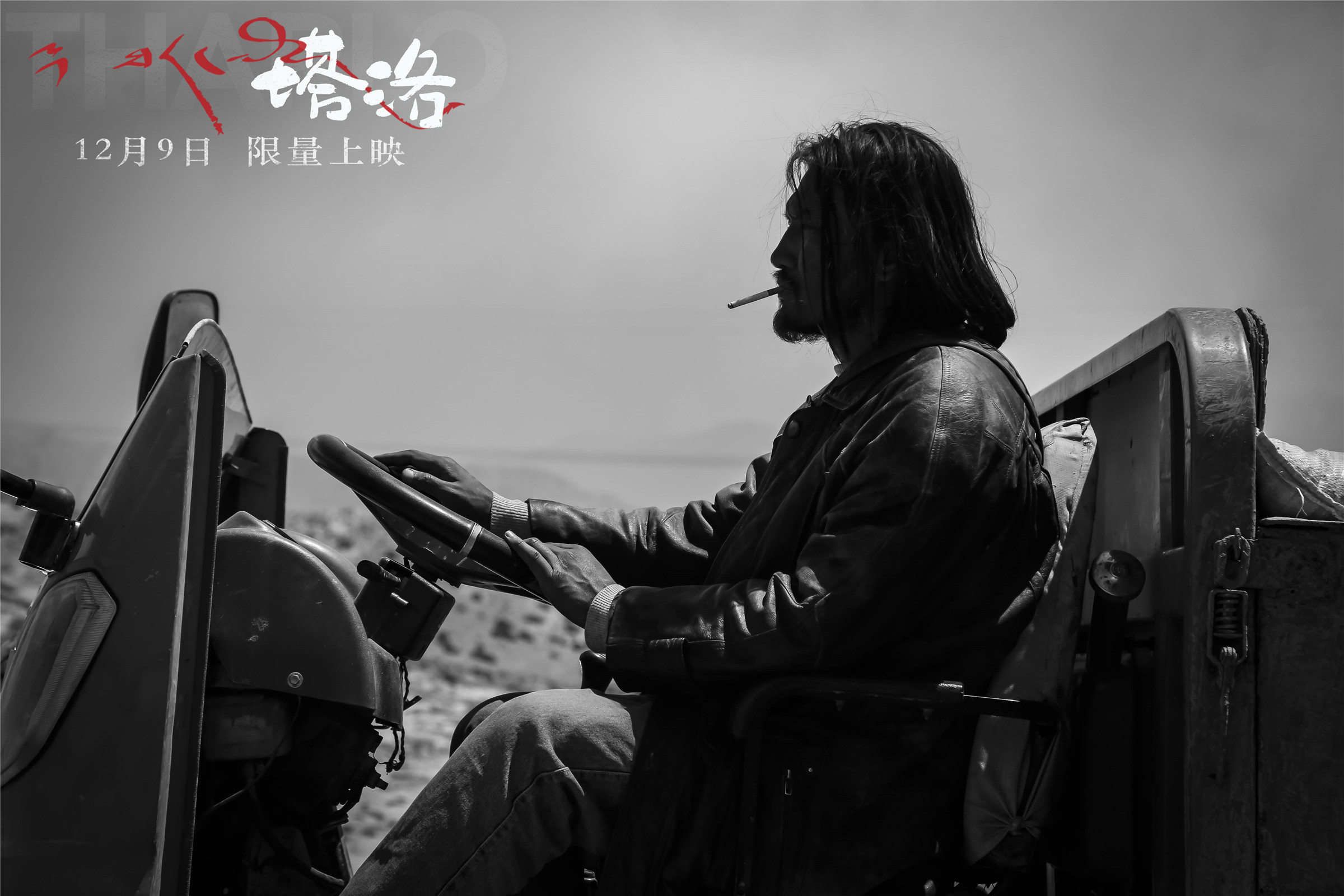 塔洛剧照的剧照