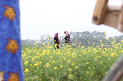 电视风波剧照的剧照