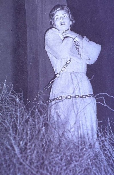 火刑柱上的贞德剧照的剧照