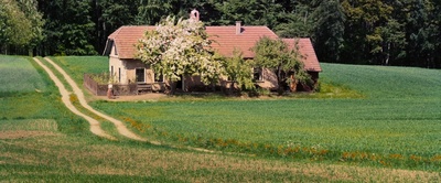 埃贡·席勒：死神和少女剧照的剧照