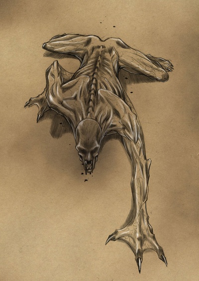 驱魔者剧照的剧照