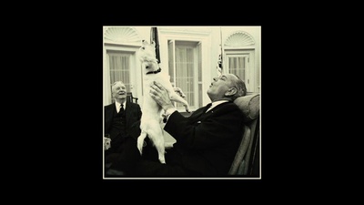 军犬麦克斯2：白宫英雄剧照的剧照