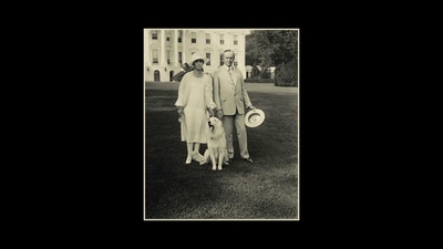 军犬麦克斯2：白宫英雄剧照的剧照