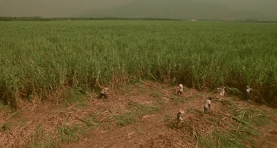 乞爱者剧照的剧照