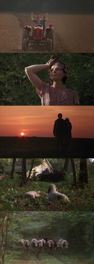 布拉格之恋剧照的剧照