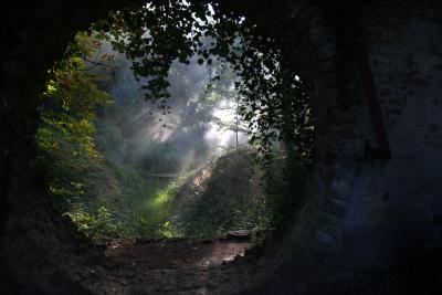 欣快剧照的剧照