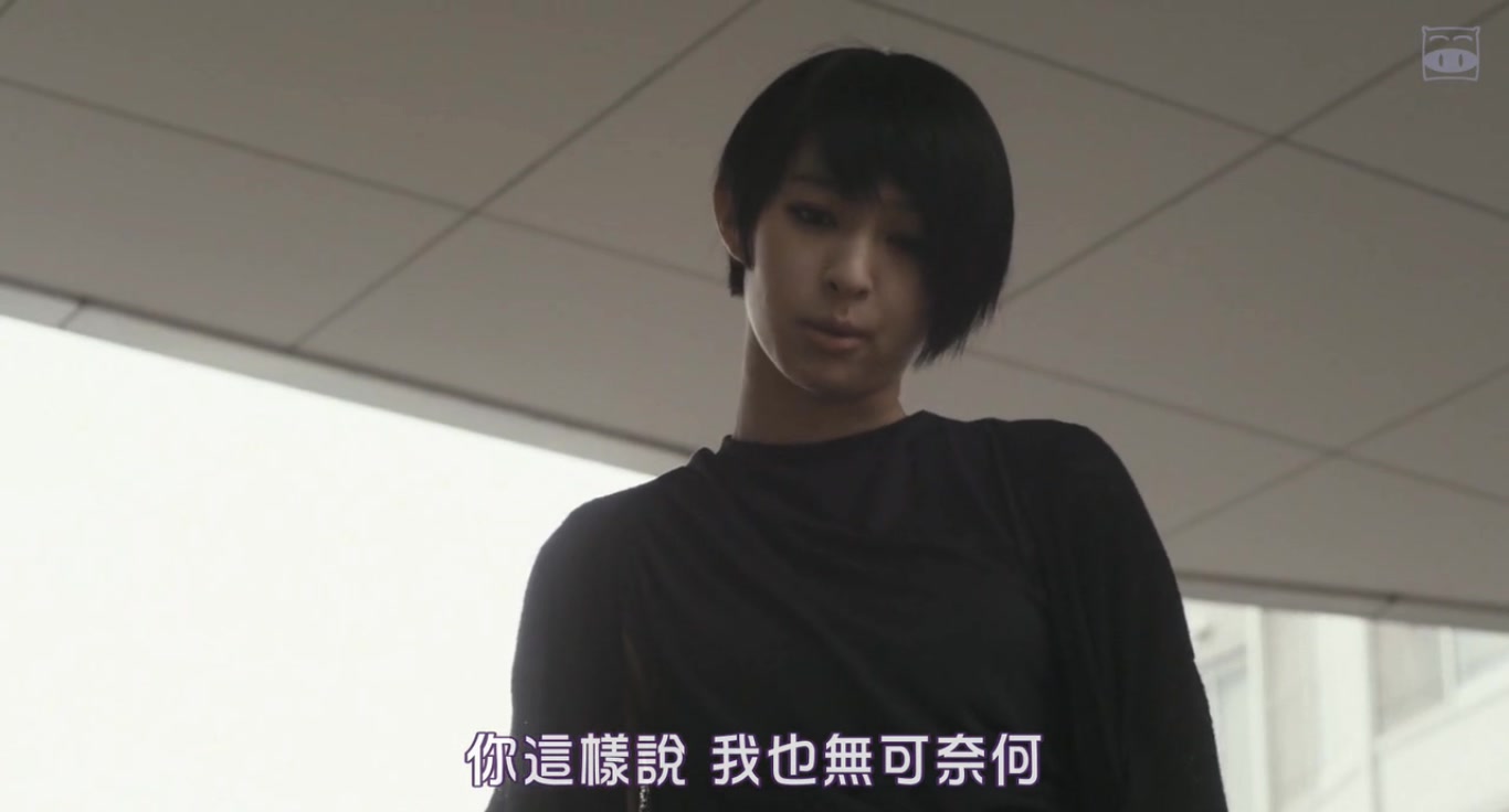 斑马剧照的剧照