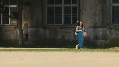 跨越栅栏剧照的剧照