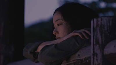 跨越栅栏剧照的剧照