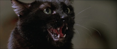 美国战队：世界警察剧照的剧照