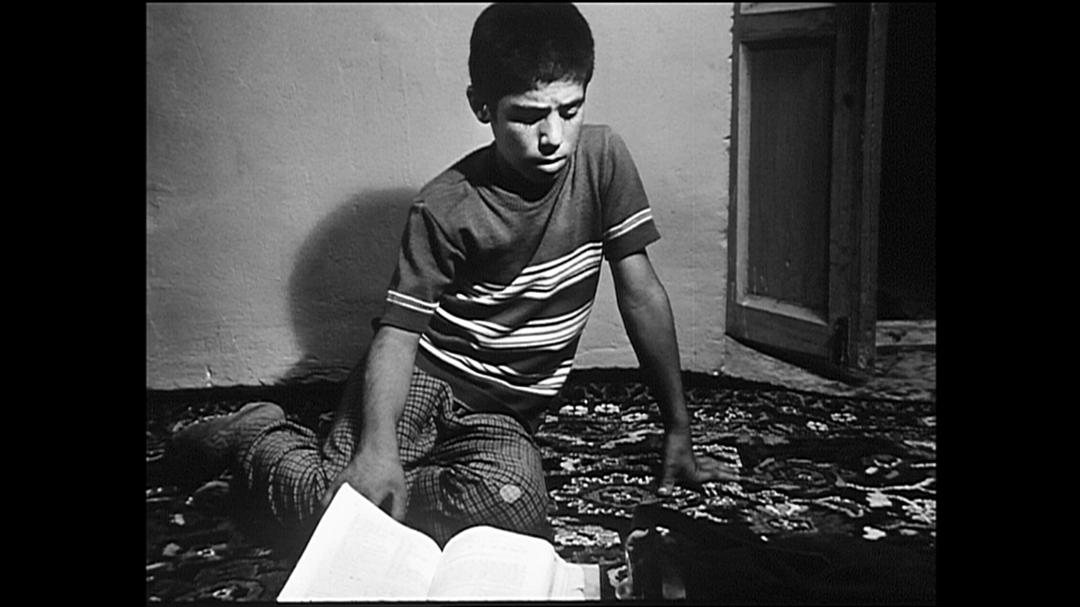 特写剧照的剧照