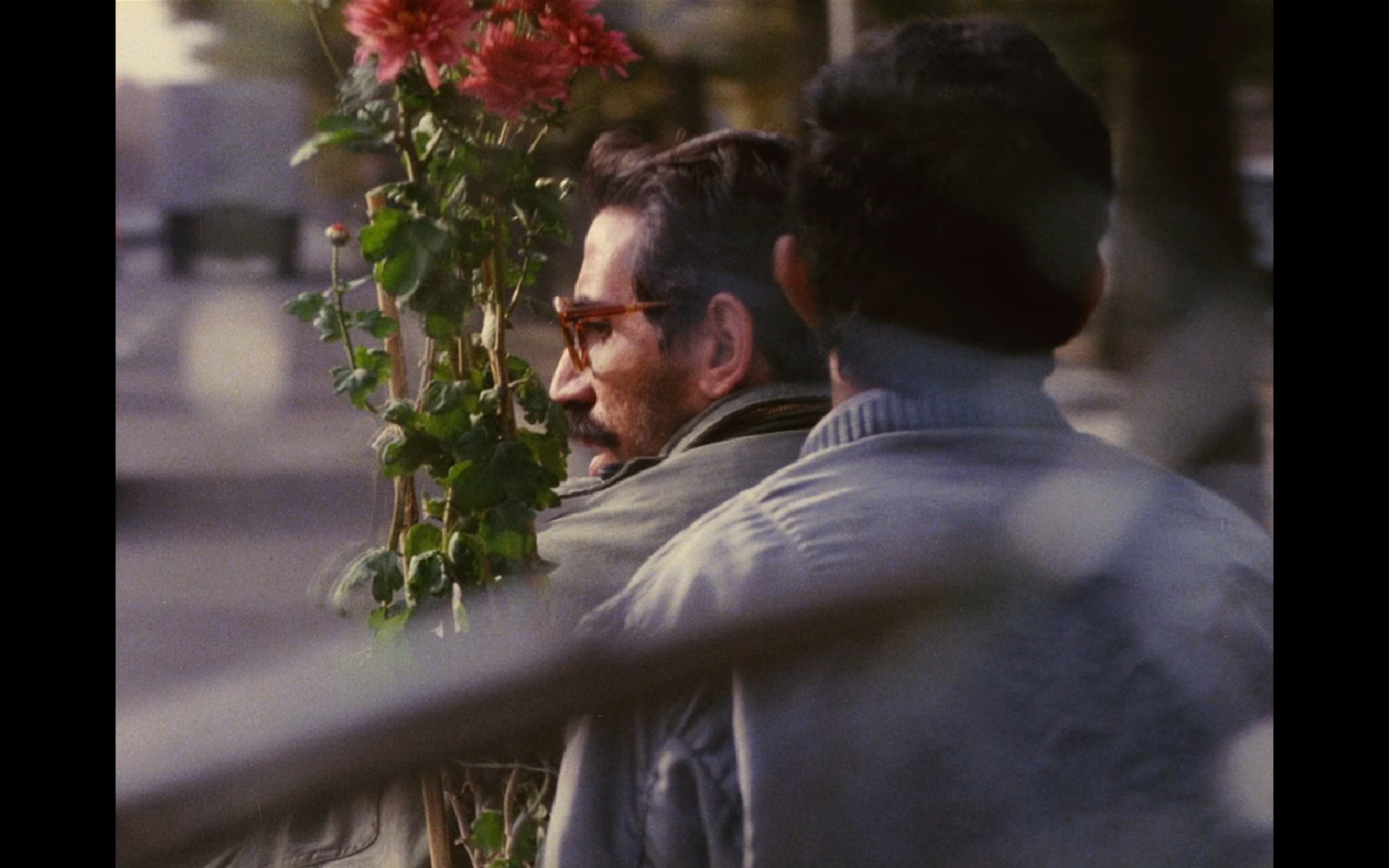 特写剧照的剧照