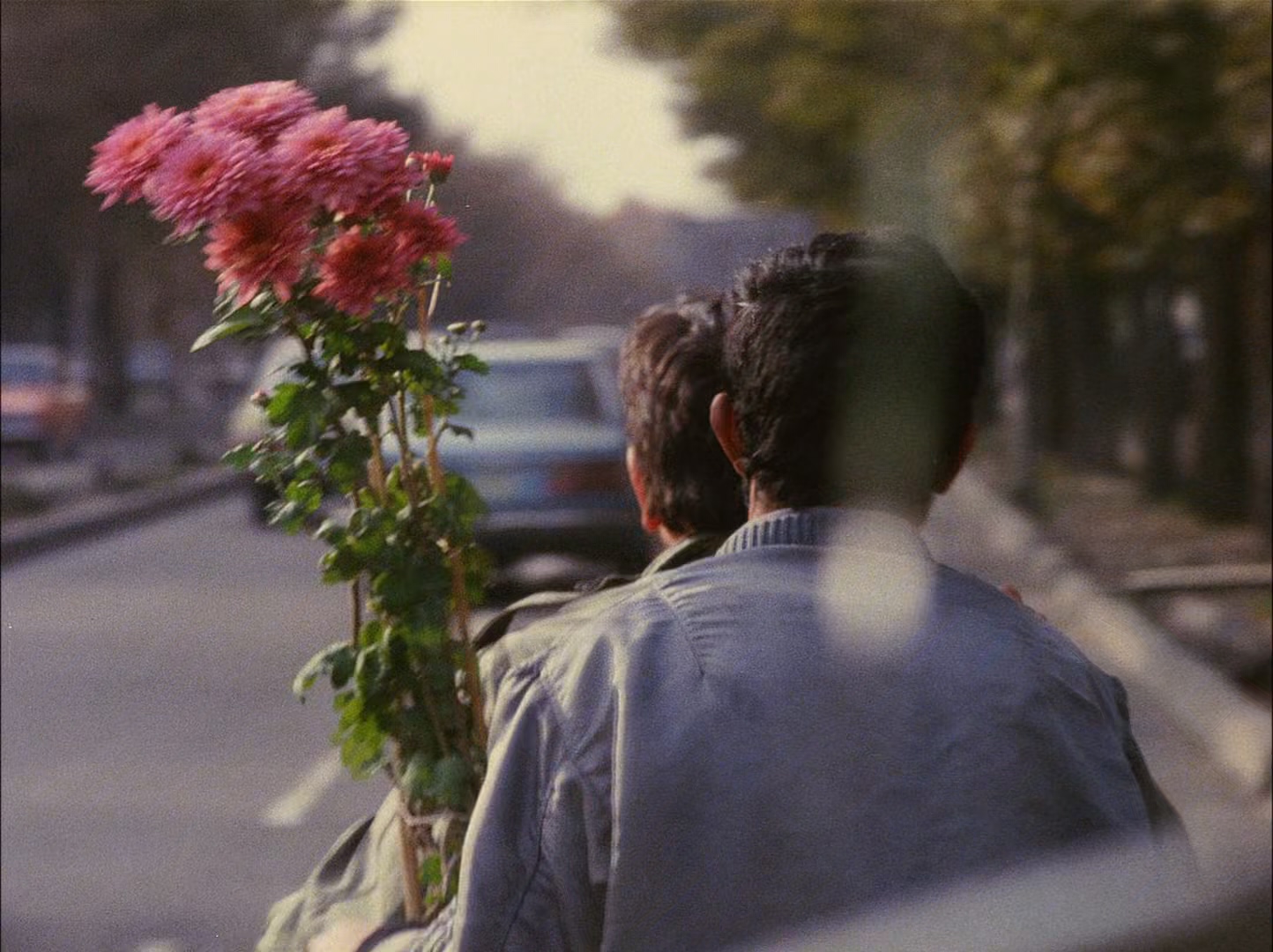 特写剧照的剧照