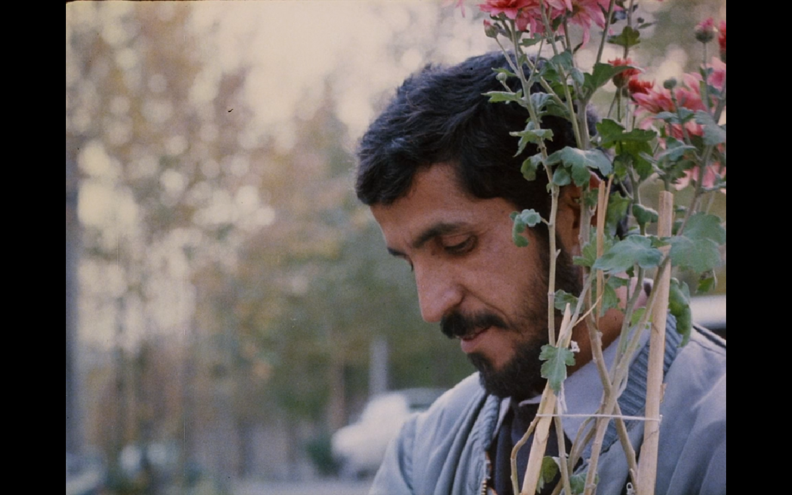 特写剧照的剧照