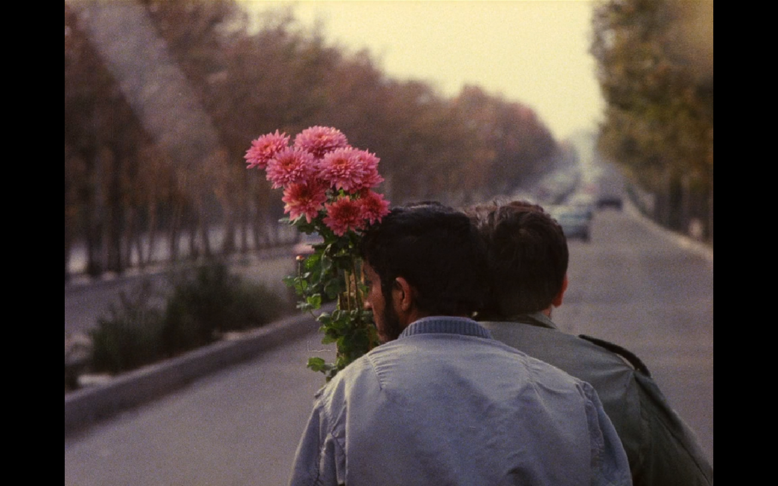 特写剧照的剧照