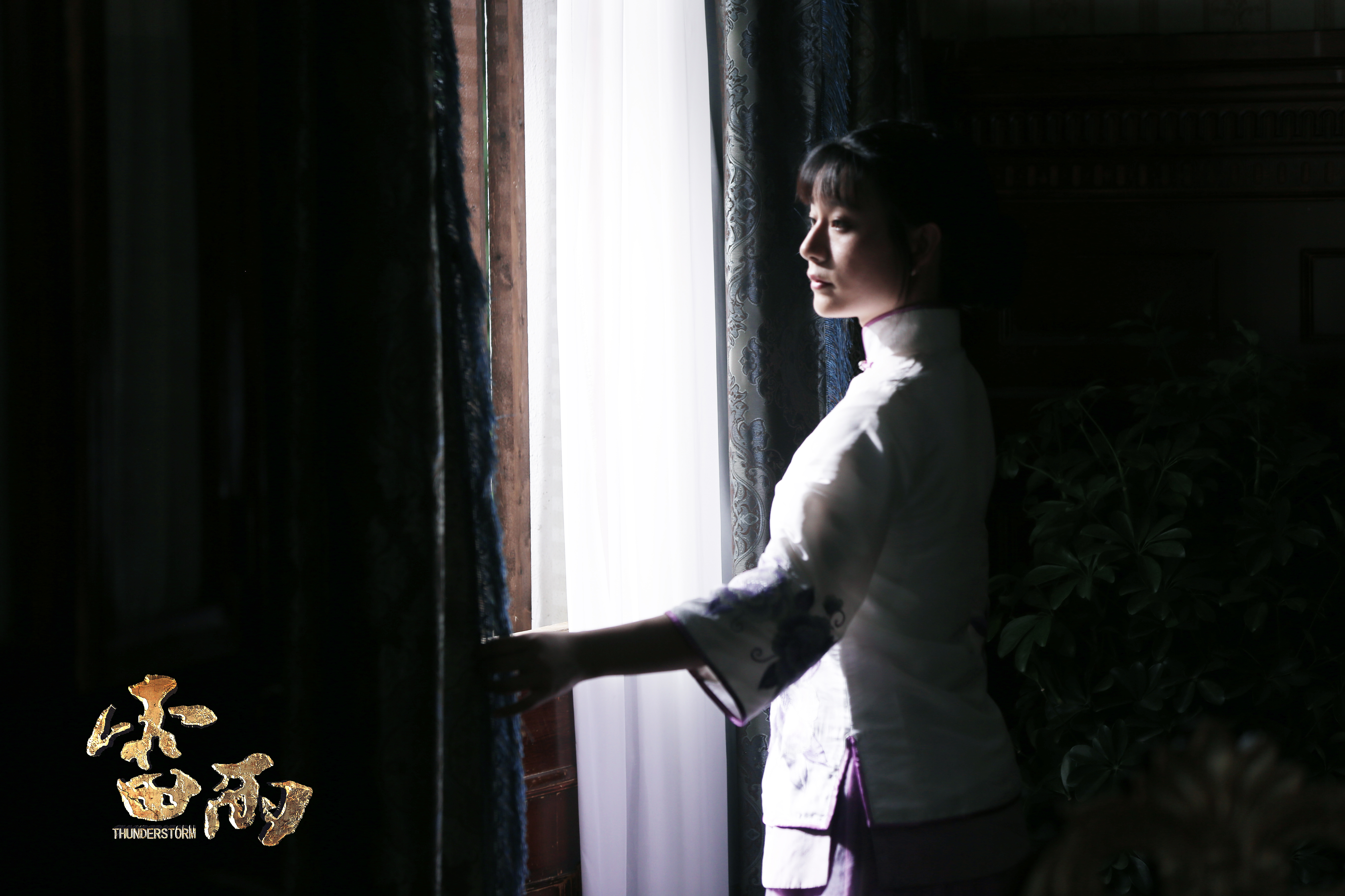 雷雨剧照的剧照