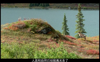 最后的猎人剧照的剧照