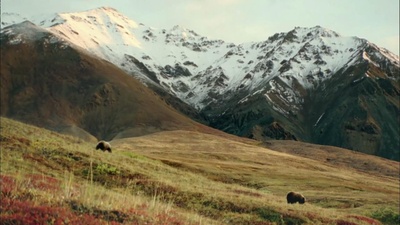最后的猎人剧照的剧照