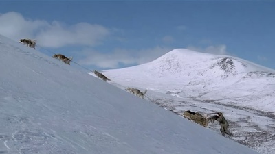 最后的猎人剧照的剧照