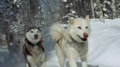 最后的猎人剧照的剧照
