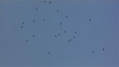 善意的谎言剧照的剧照